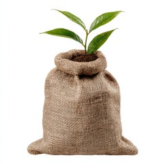 A watercolor illustration featuring a green plant with fresh leaves growing out of soil contained within a tied burlap sack, highlighting natural growth and an eco-friendly idea in a soft artistic