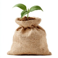 Illustration of a green plant with fresh leaves emerging from soil inside a burlap sack tied up, conveying a natural growth and eco-friendly theme in a soft watercolor style