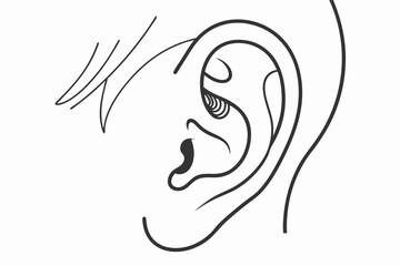 Detailed Line Drawing of a Human Ear Anatomy