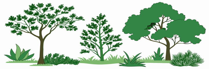 Collection of Green Trees and Plants, Vector Illustration