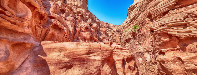 Scenic canyon landscape in the desert of South Sinai, Egypt