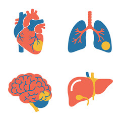 Human internal organs: the heart, lungs, brain, and liver.