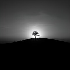 Dramatic Monochrome Tree Silhouette on Hill with Backlit Sun
