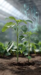 Plant with digital circuit lines emerging from leaves, representing smart agriculture and biotechnology. Innovative farming technology concept.