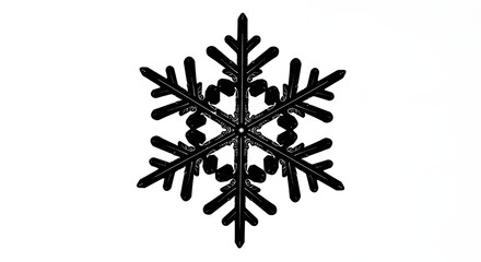 Black snowflake design