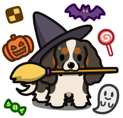 ハロウィン仮装のトライカラーのキャバリアキングチャールズスパニエル