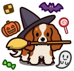 ハロウィン仮装のブレンハイムのキャバリアキングチャールズスパニエル