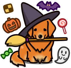 ハロウィン仮装のゴールデンレトリバー