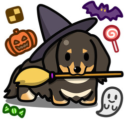 ハロウィン仮装のブラックアンドタンのミニチュアダックスフンド