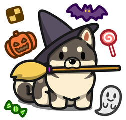 ハロウィン仮装の黒柴