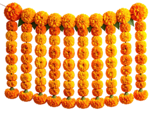 Bright orange marigold garlands, close-up