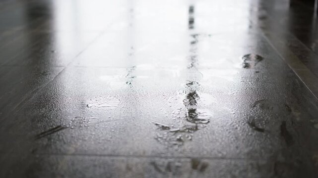 Shoe prints on the wet floor