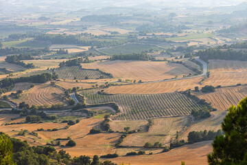 Breathtaking view from the top of a mountain overlooking a patchwork of green and yellow fields with Winding Road