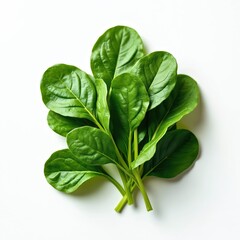 Obraz premium Fresh baby spinach leaves isolated on white background. Vibrant green, raw vegetable with delicate texture. Healthy organic ingredient for salads, cooking, and herbal remedies. Natural food source.