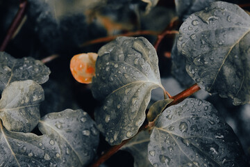 Bright and Colorful Scenery Stunning Visual Art