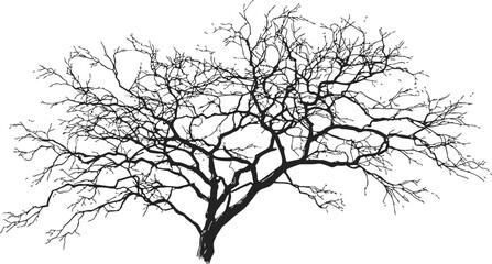 Fototapeta premium Bare tree sketch hand drawn silhouette with intricate branches — stock vector