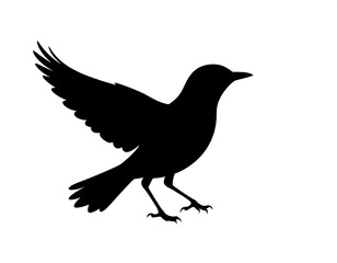 Obraz premium Silhouette of a bird in flight