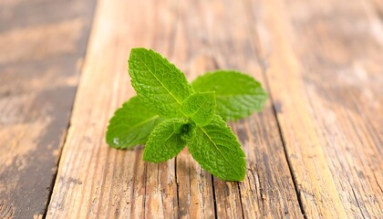 Fresh mint leaves on rustic wood