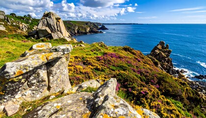 Coastal landscape with rocks and wildflowers