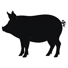 Fototapeta premium Silhouette of a pig