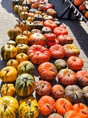 A collection of decorative pumpkins at the autumn fair