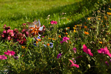 A Beautiful and Vibrant Flowerbed Filled with Blossoming Flowers Under Warm Sunshine Light