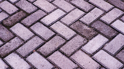 Close-up of interlocking brick pavement with a herringbone pattern in the zoo area.