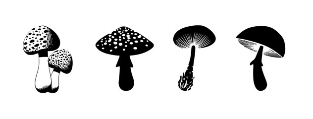 Set of four magic mushrooms, black and white