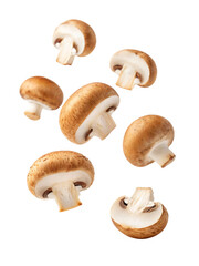 Fresh brown mushrooms floating ready for healthy cooking, add vibrant earthy flavor to your dish with these organic ingredients