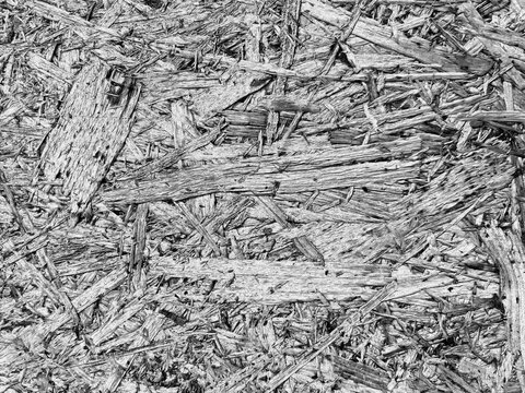 Close-up of overlapping wooden chips or shavings, showing natural texture and intricate pattern, ideal for backgrounds, construction, or landscaping concepts.
