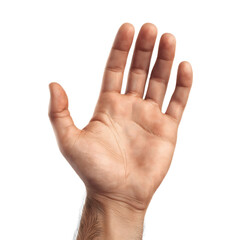 Fototapeta premium female hand isolated on white human hand open palm gesture