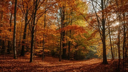 Autumn forest with golden light and falling leaves
