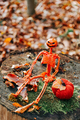 Pumpkin Skeleton and Pumpkin on Mossy Stump.Beautiful autumn halloween decor. Halloween Wallpaper With Skeleton And Autumn Leaves.