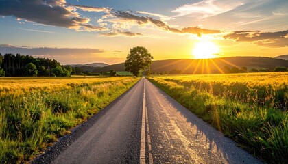 Obraz premium Rural Road Through Golden Field Under Scenic Sunset Sky with Trees and Lush Meadow Landscape in Countryside Tranquility