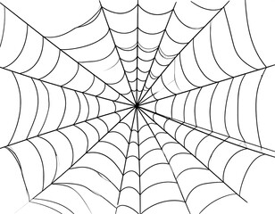 Black spider web on white background