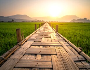 Obraz premium Bamboo bridge over rice paddy at sunset