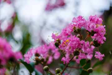 散歩の途中で見つけた光景
