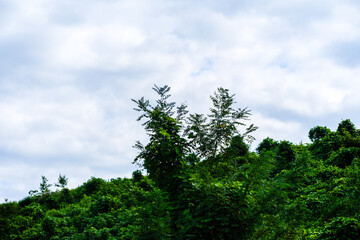 散歩の途中で見つけた光景