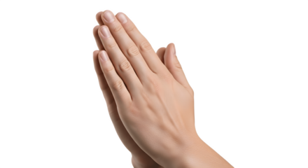 Hands clasped together in prayer or meditation.
