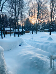 A serene winter scene of a backyard blanketed in deep snow as the sun rises through bare trees.