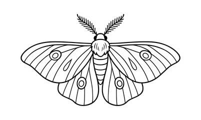 Moth coloring page for kids and adults - simple insect design for relaxation and creativity