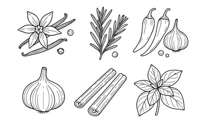 Sedan car outline set collection for design and educational purposes