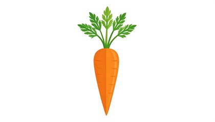 Carrot illustration with leaves