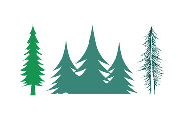 set of pine trees in color vectors