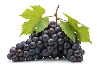 Fototapeta premium A cluster of plump, dark purple grapes with vibrant green leaves surrounding them, set against a white background.
