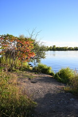 L&eacute;on-Gravel Park - Brossard - Montreal - Canada Nature