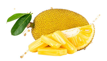 Jackfruit with isolated on transparent png 