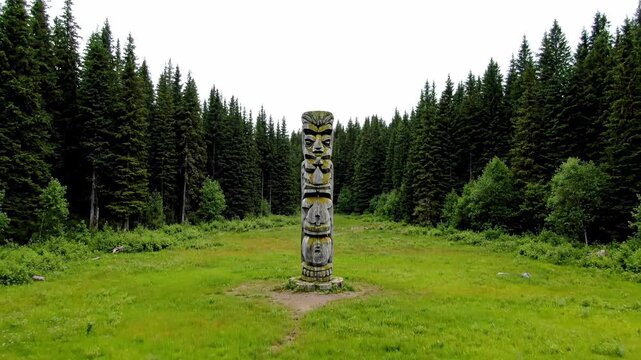 Mysterious carved stone totem column in a lush green forest clearing under an overcast sky