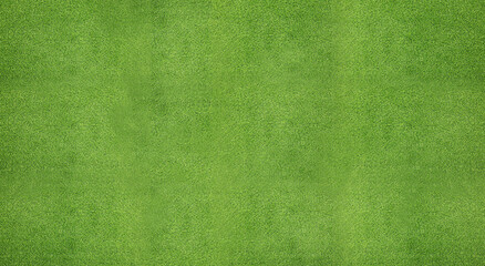 Fototapeta premium Fresh green grass as background. Banner design
