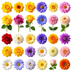 A grid of colorful flowers, various types and hues